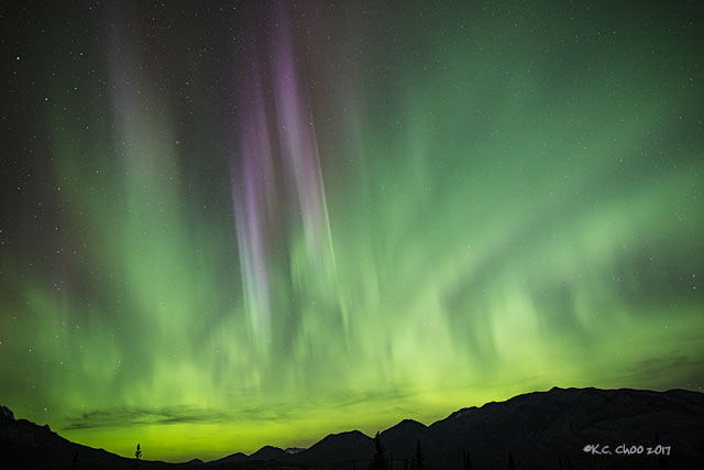 Auroras