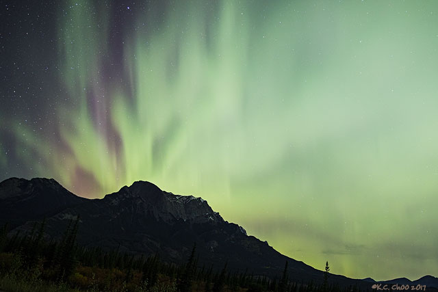 Auroras