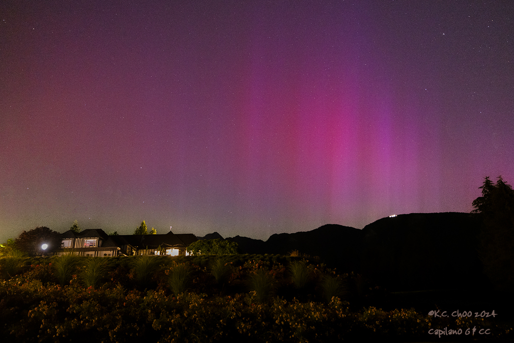 Auroras