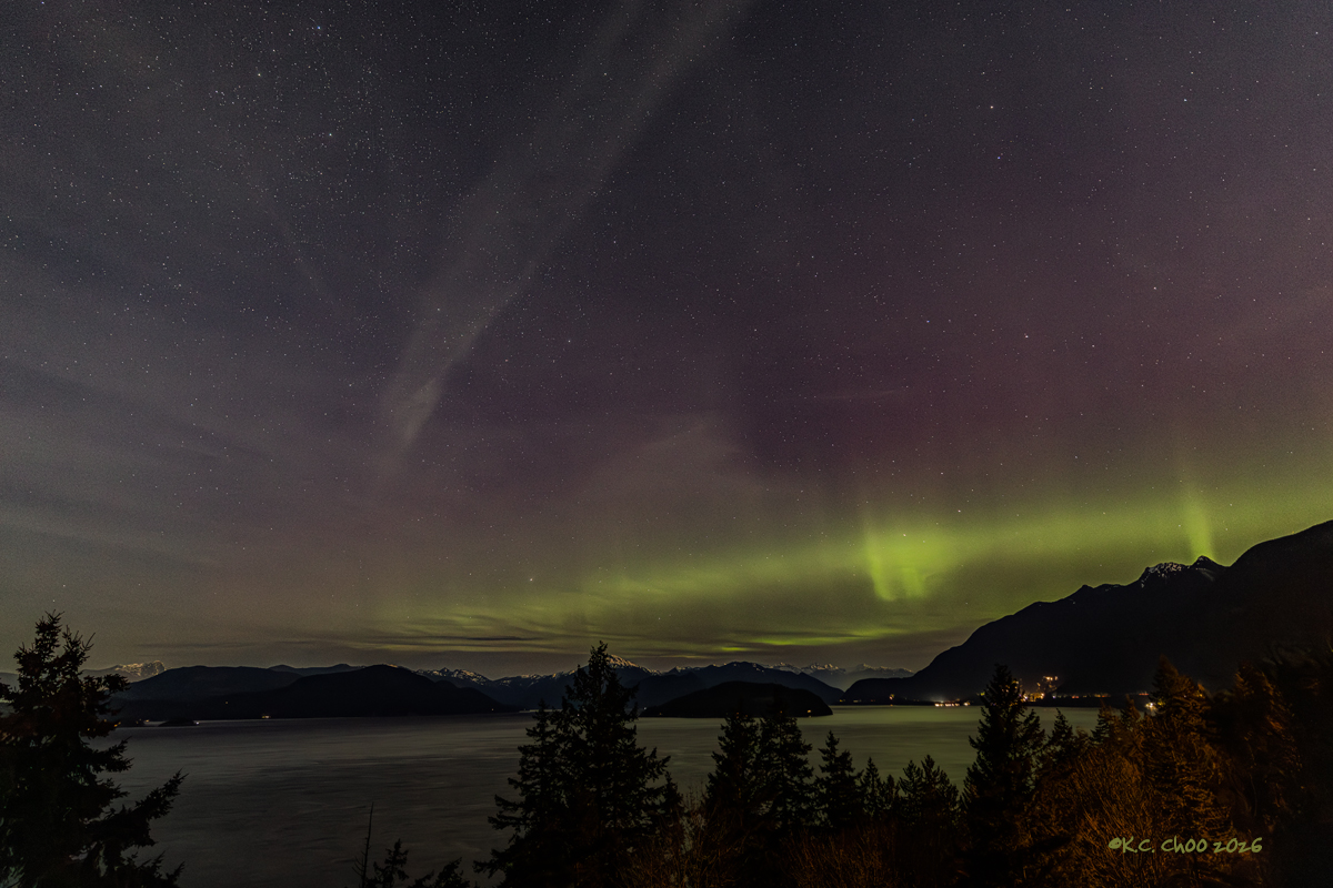 Auroras