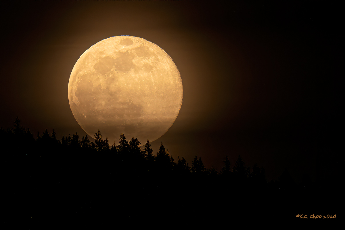 Moon