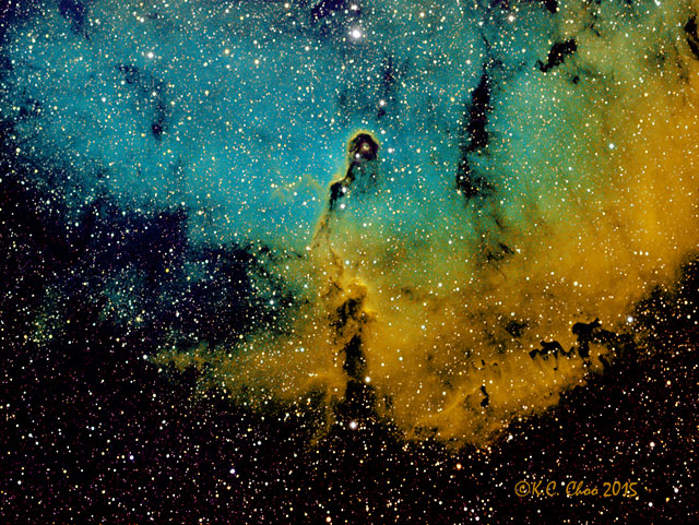 Elephant Trunk Nebula